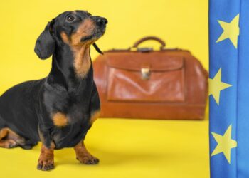 União Europeia introduz novas regras para entrada de animal de estimação