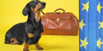 União Europeia introduz novas regras para entrada de animal de estimação