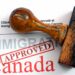 Guia para conseguir emprego no Canadá como estrangeiro em 2026